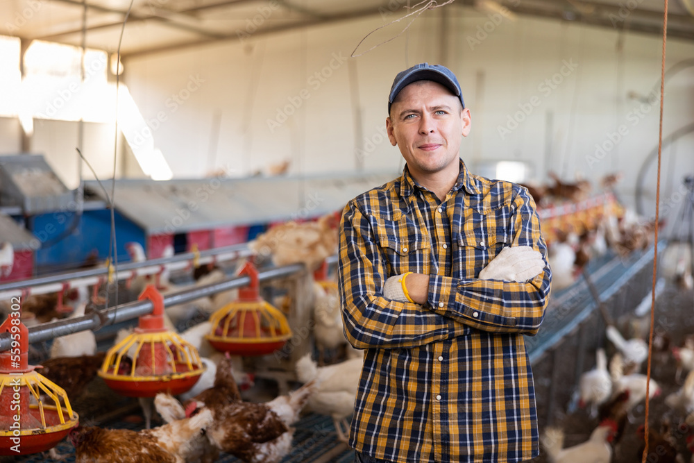 Εκτύπωση καμβά Portrait of positive highly experienced european adult man working in chicken fa