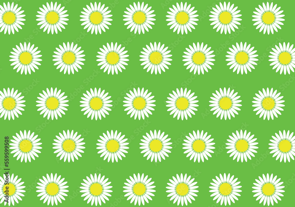 Illustration of the background of a meadow with a pattern of white daisies. Floral backgrounds spring green wallpaper with flowers in vector and jpg. Illustration of the background of a meadow with a pattern of white daisies. Floral backgrounds spring green wallpaper with flowers in vector and jpg.
