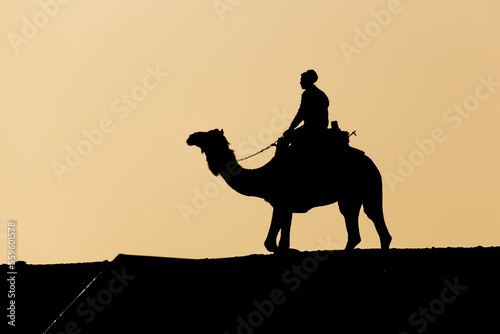 Silhouette of a camel rider at the Djoser (Zoser) funerary complex in Saqqara, Egypt photo