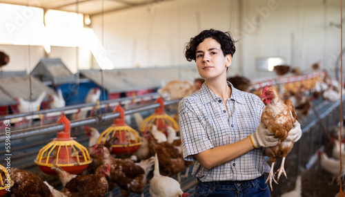 Canvastavla Adult experienced latin woman holding chickens in chicken farm