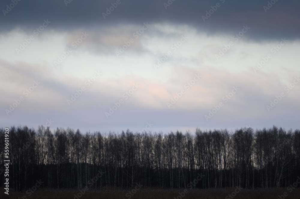 Dark gloomy sunset over a row of dark trees Dark gloomy sunset over a row of dark trees