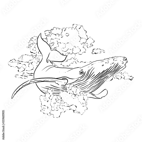 Ink Illustration Whale in clouds. Isolated on the white background.