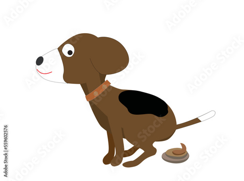 犬の排泄。