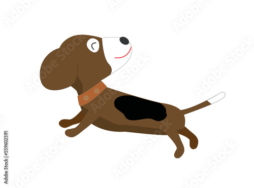 犬が嬉しそうに走る。