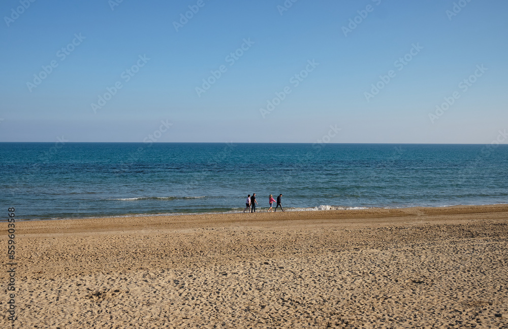 Group of people are walking along the seashore.
People walk along the sandy seashore. Waves are rolling on the beach. 