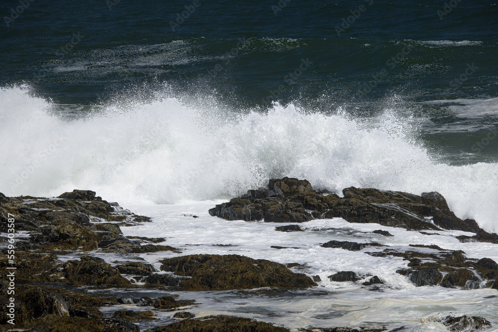 Ocean waves on a rocky shore