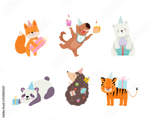 Fototapeta Naklejka Na Ścianę i Meble -  Set of cute adorable animals celebrating birthday set. Amusing fox, puppy, bear, panda, hedgehog, tiger at party hats holding gifts cartoon vector illustration