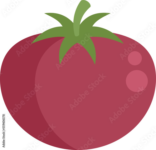 Gmo tomato icon flat vector. Dna food. Medicine science isolated
