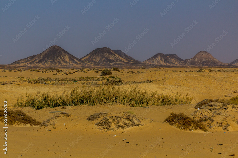 Desert landscape near Al Hayz village, Egypt