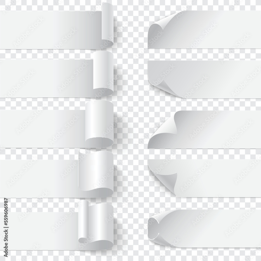 Set of curled blank paper banners with shadows on white background Set of curled blank paper banners with shadows on white background