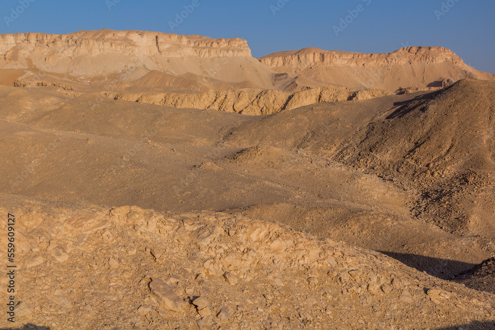 Desert near Dakhla oasis, Egypt