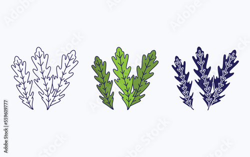 AllSpice leaf