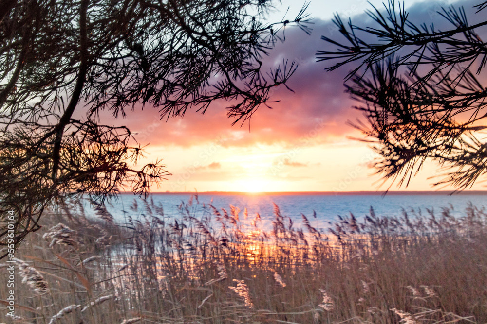 Fototapeta premium urlaub