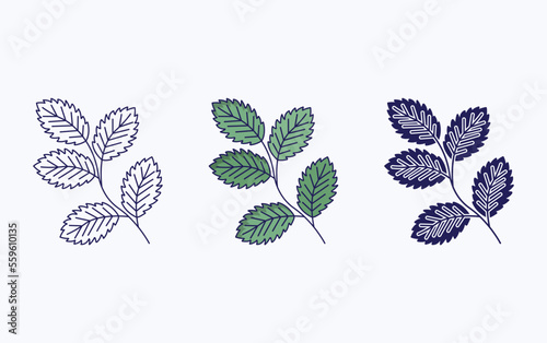 Mint icon