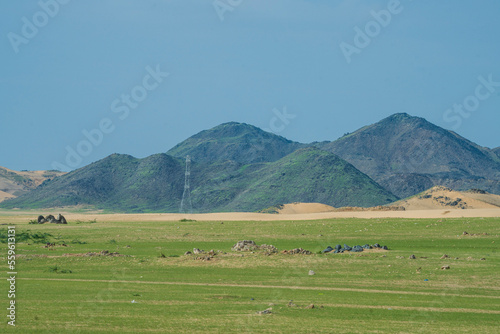 saudi arabian after rain season winter