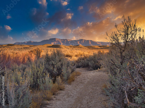 Fototapeta Naklejka Na Ścianę i Meble -  Winter High Desert Trail Near Utah