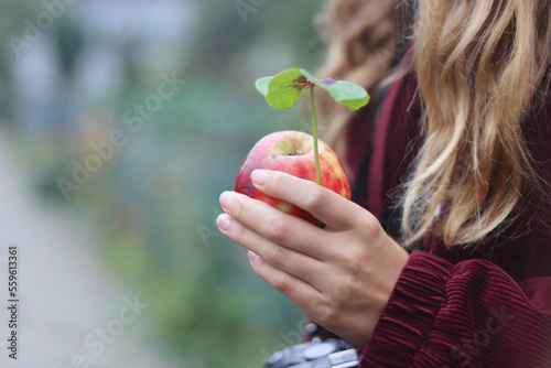 Female hand holding red apple and good luck leaf, four leaf clover plant, Iron Cross. Beautiful Long female fingers, fingernails. Long blond hair, burgundy lacket. Blurred background. Copy space photo