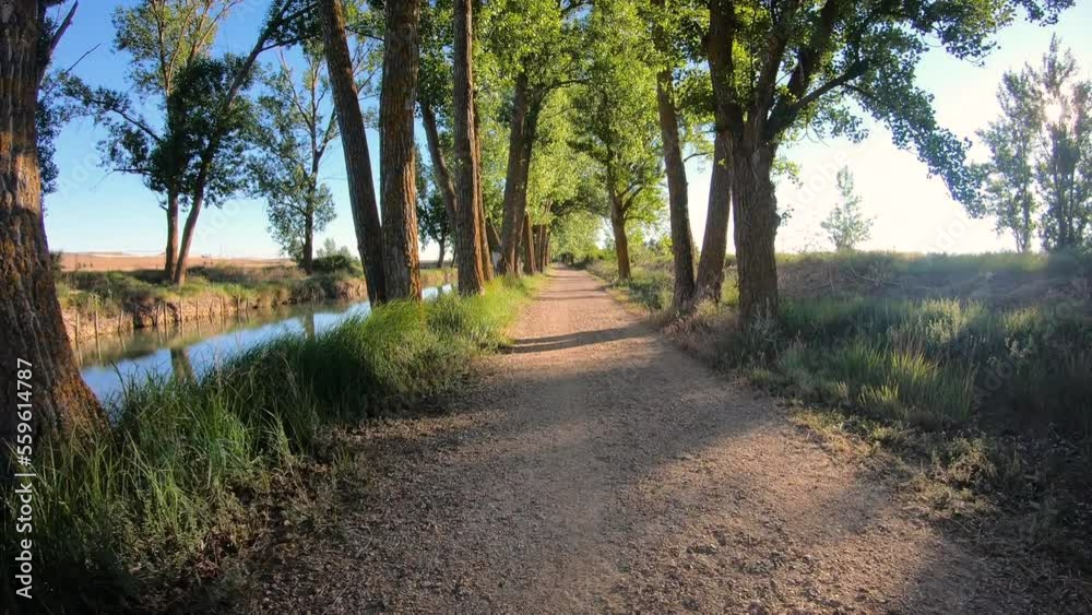 gravel road along the Canal de Castilla, Campos branch next to Medina de Rioseco, Valladolid, Castile and Leon, Spain gravel road along the Canal de Castilla, Campos branch next to Medina de Rioseco, Valladolid, Castile and Leon, Spain