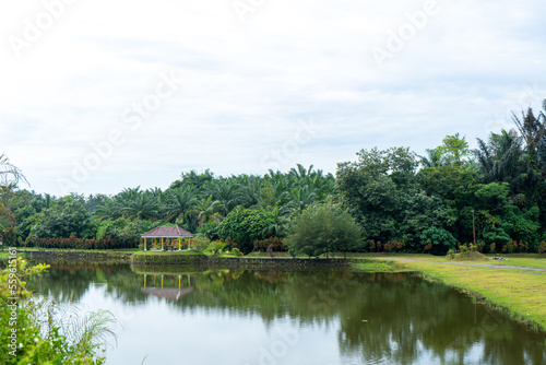 A landscape scenery with a building near a river and a lot of trees