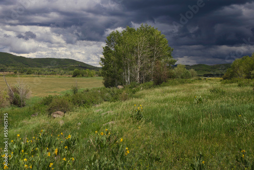  Storm Threat