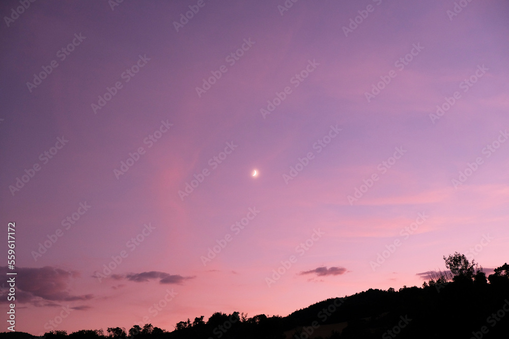 Obraz premium Lune dans un ciel rose, forêt reconnaissable en dessous. Nuages roses