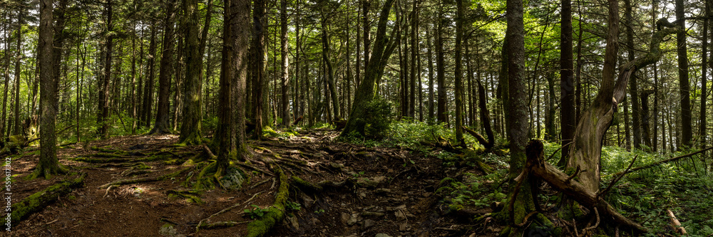 Fototapeta premium Panorama of Trail Heading Up To Mount Sterling