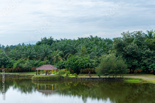 A landscape scenery with a building near a river and a lot of trees