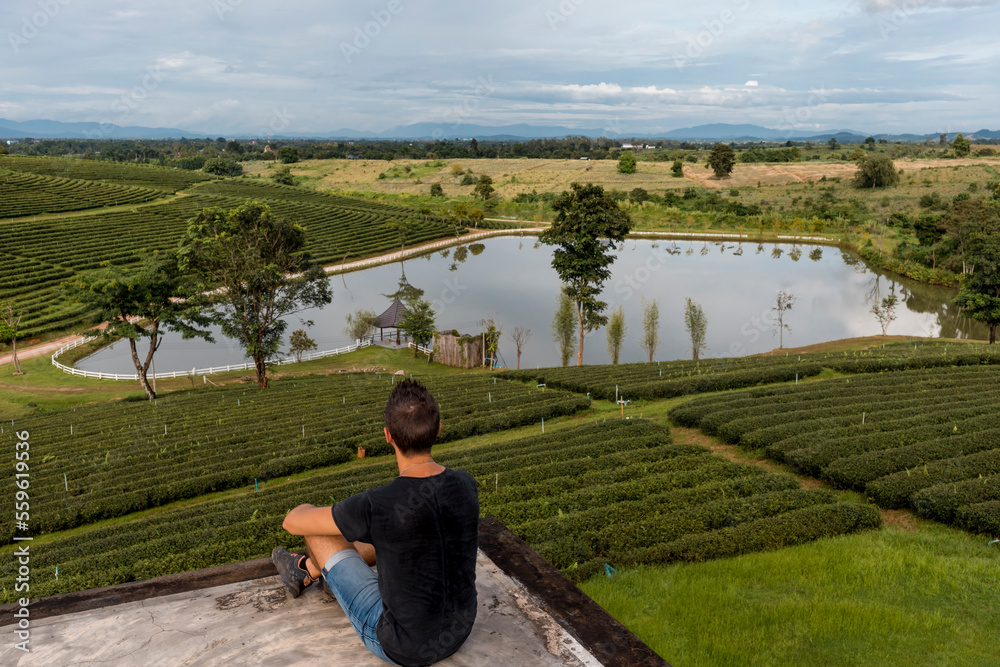 Man looking a Scenic view of a tea crops in a farm In Chiang Rai, Thai