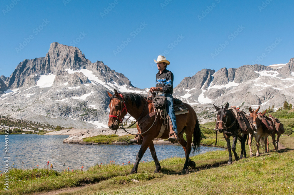 Horse paker leads pack train along lake with mountain in background Horse paker leads pack train along lake with mountain in background