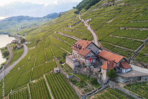 Vineyards and house on mountainside near Lake Geneva, Lavaux, VaudÂ Canton, Switzerland