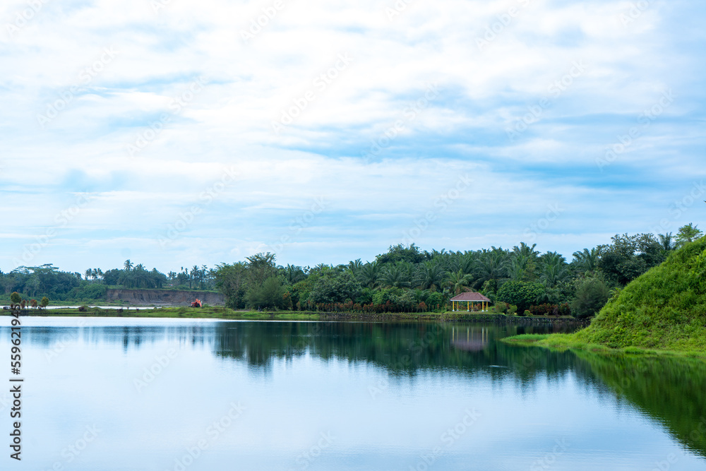 A landscape scenery with a lot of trees and a lake