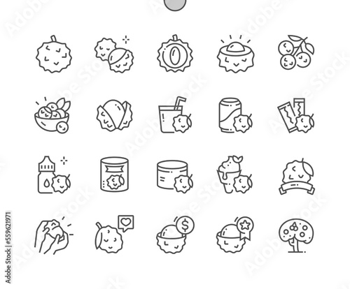 Lychee. Tropical fruit. Two lychees, half lychee and lychee's stone. Food shop, supermarket. Pixel Perfect Vector Thin Line Icons. Simple Minimal Pictogram