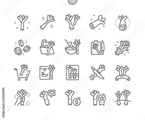 Leek. Onion. Nature vegetable organic food nutrition. Cooking, recipes and price. Food shop, supermarket. Pixel Perfect Vector Thin Line Icons. Simple Minimal Pictogram