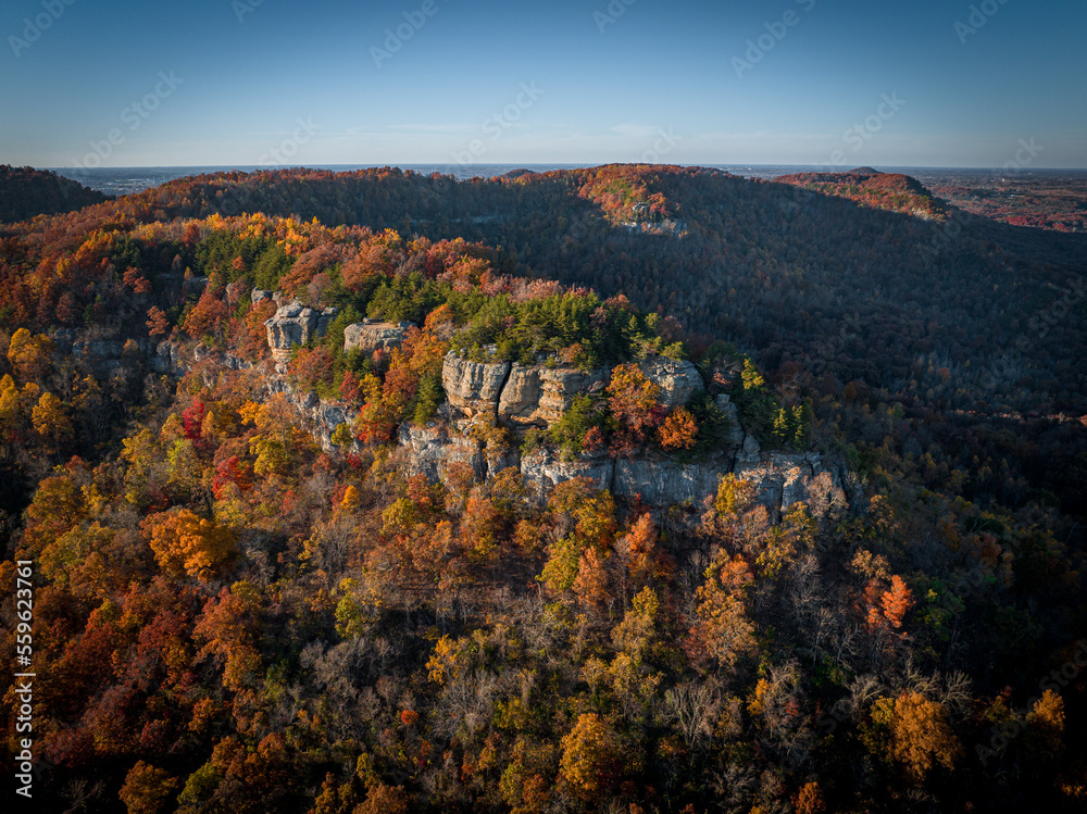 drone view of fall foliage