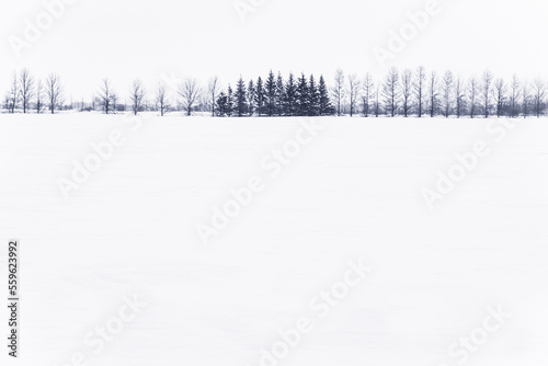 Winter wonderland in Quebec Canada © Ievgenii