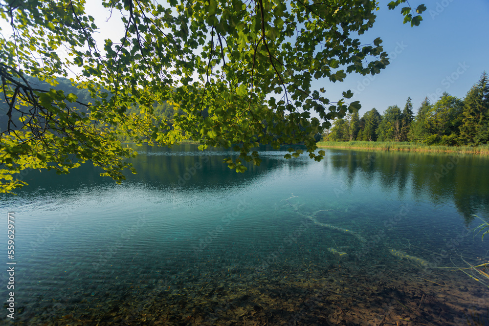 Obraz premium Evening sunlight over the lake in Plitvice Lakes National Park, Croatia.