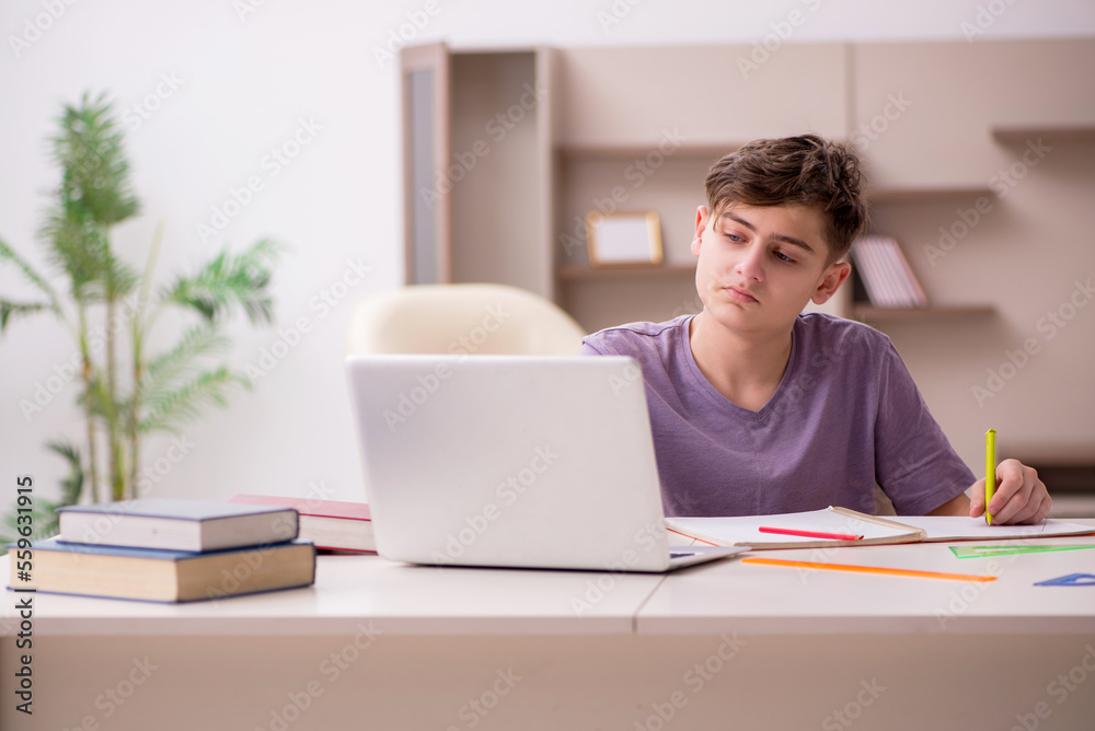 Schoolboy preparing for exams at home Schoolboy preparing for exams at home