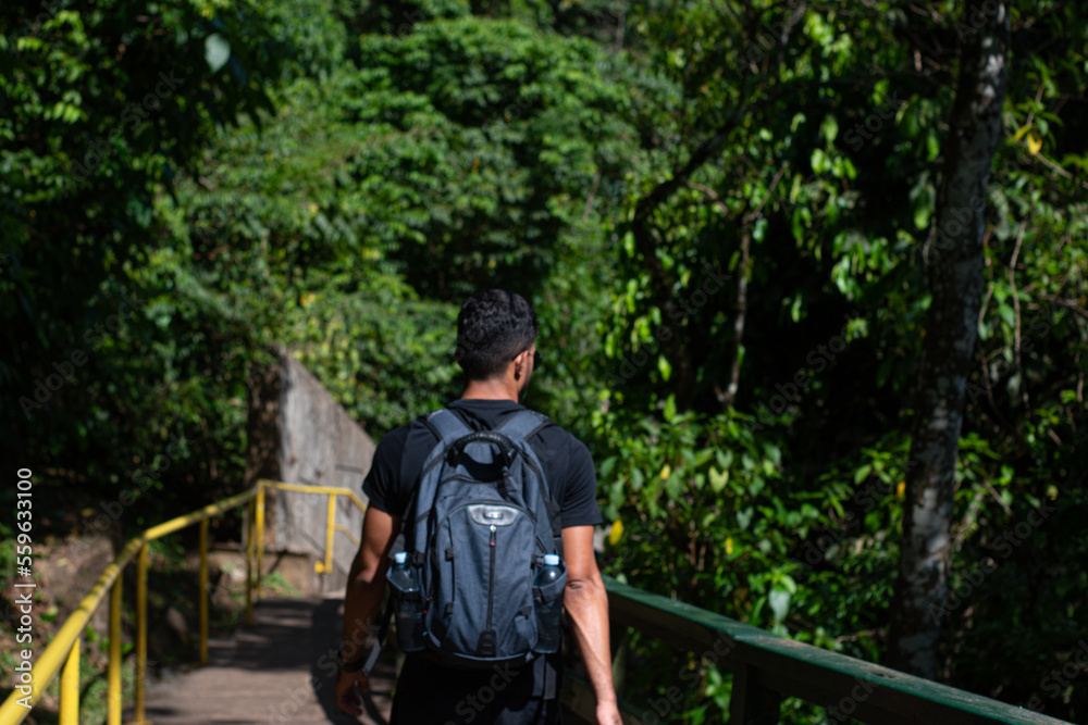 person walking in the woods