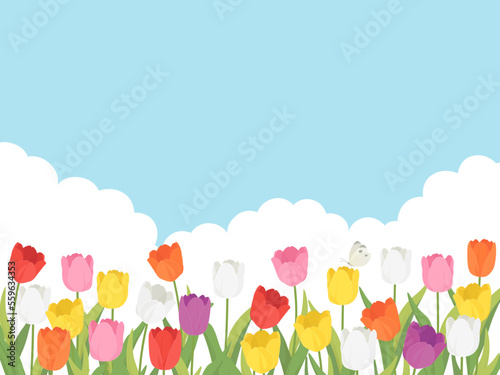 チューリップ畑の風景_背景フレーム_ベクターイラスト