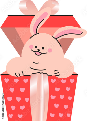 rabbit bunny easter gift 선물상자안의 부활절 토끼