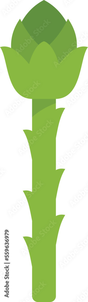Raw asparagus icon flat vector. Plant bunch. Organic salad isolated Raw asparagus icon flat vector. Plant bunch. Organic salad isolated