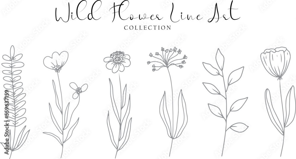 aesthetic hand drawn wild flower line art collection