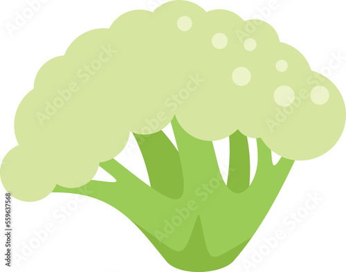 Plant brocoli icon flat vector. Vegetable cabbage. Sweet salad isolated
