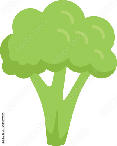 Brocoli cauliflower icon flat vector. Vegetable food. Salad plant isolated