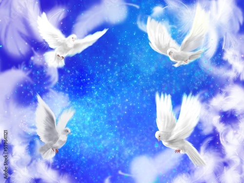 Fantasy illustration of four white doves  symbols of peace  flying around amicably in a universe of beautiful stars and a sea of clouds.