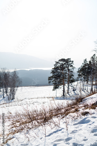 Winter landscape. View of the hills and winter mixed forest © Province_photo