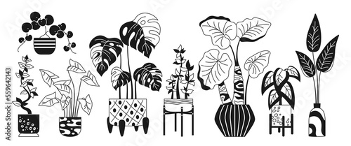 House potted plant, trendy doodle linear set. Exotic houseplants flowerpot for interior. Botanical house indoor blooming plants in pot, flower, potted ceramic. Urban jungle decor flat glyph vector