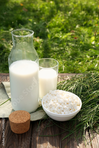 Tasty fresh milk and cottage cheese on wooden table outdoors