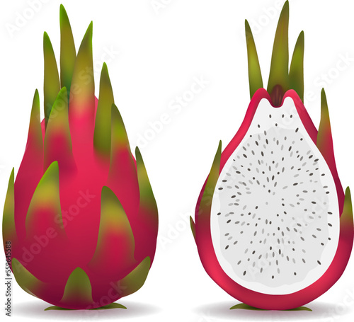 Realistic pitaya fruit