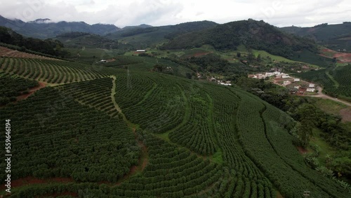 Aerial view of a coffee plantations in Minas Gerais, Brazil. Brazil is the largest producer of coffee in the world photo